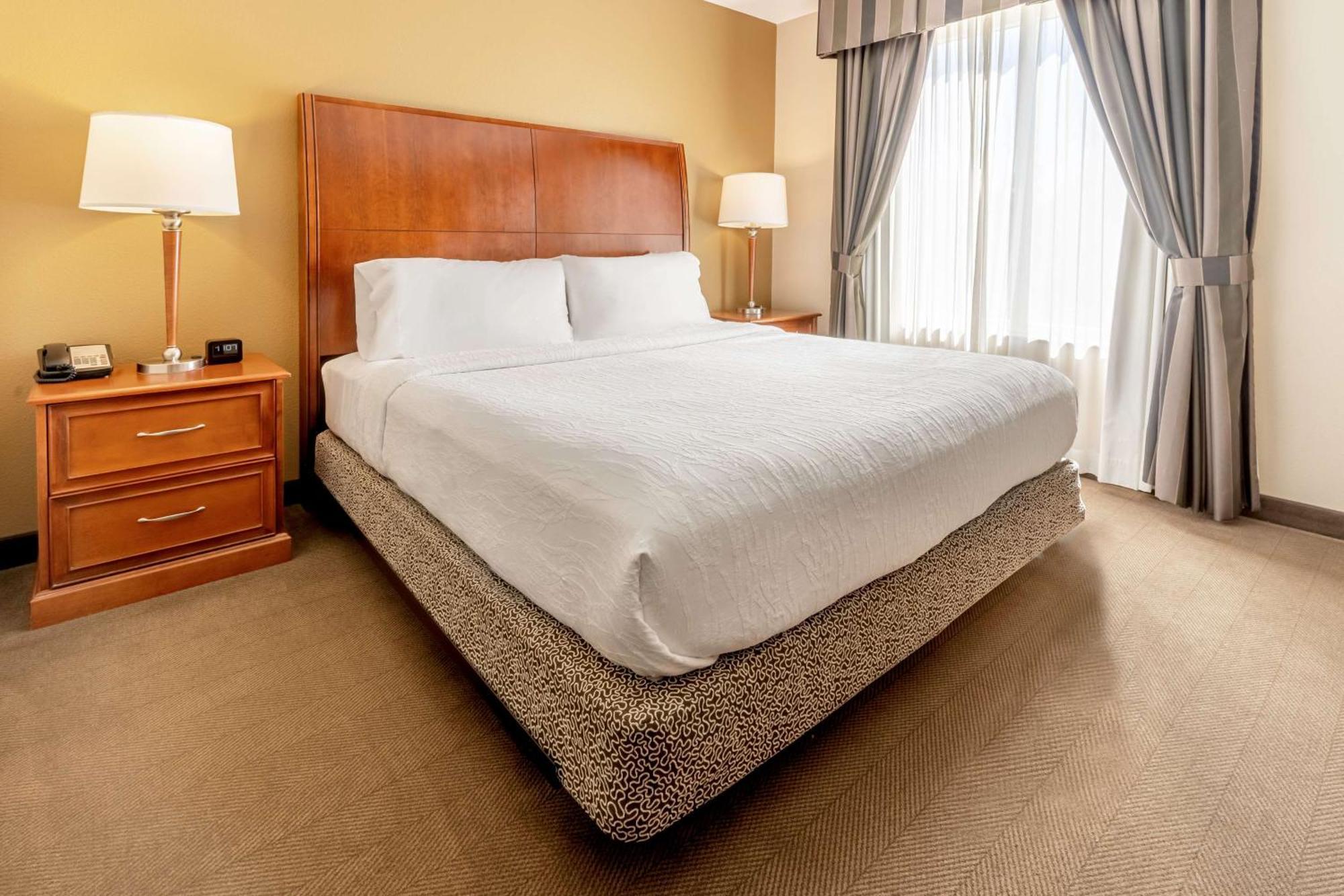 Hilton Garden Inn Houston/דה וודלנדס מראה חיצוני תמונה