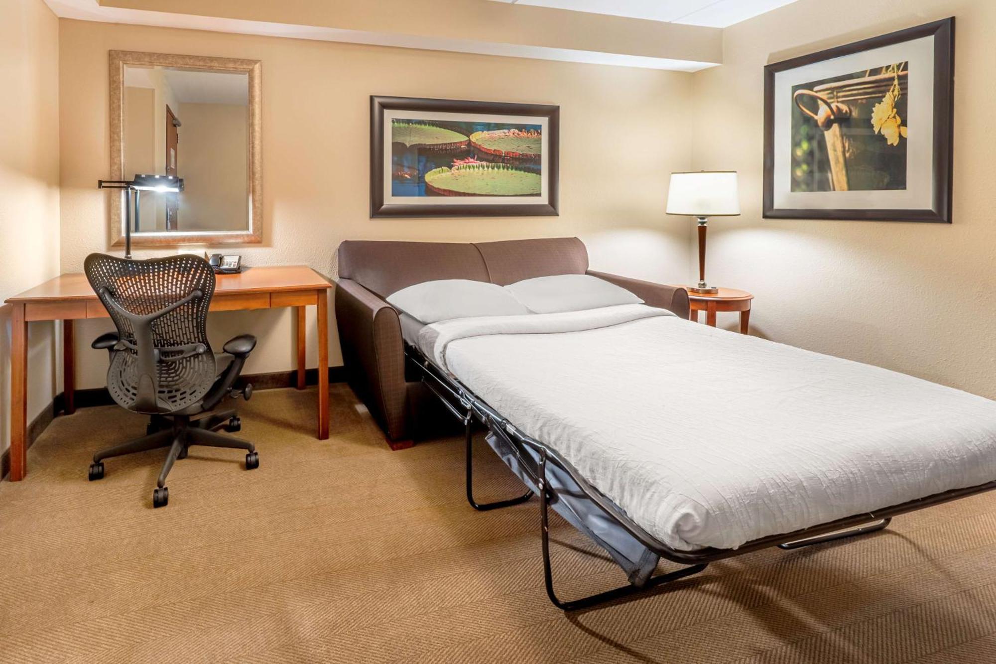Hilton Garden Inn Houston/דה וודלנדס מראה חיצוני תמונה