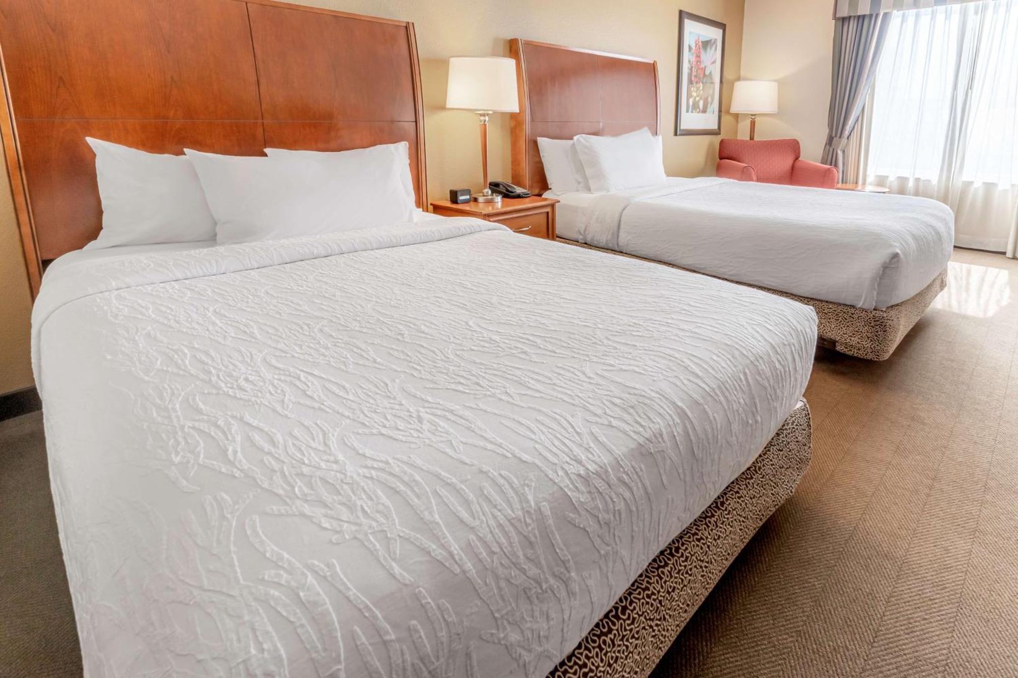 Hilton Garden Inn Houston/דה וודלנדס מראה חיצוני תמונה