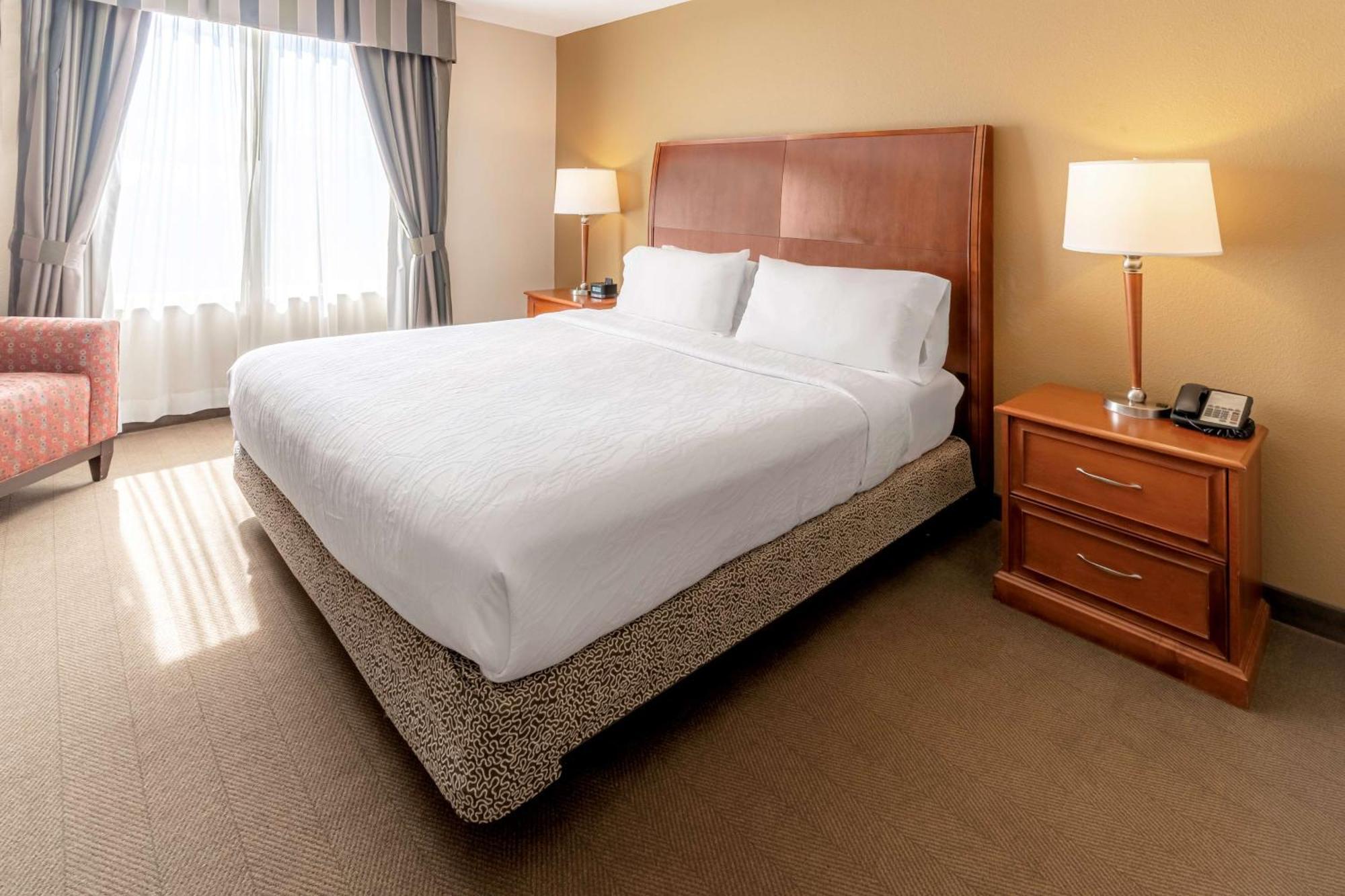 Hilton Garden Inn Houston/דה וודלנדס מראה חיצוני תמונה
