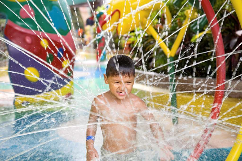 Hilton Garden Inn Houston/דה וודלנדס מתקנים תמונה